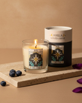 The Star Vintage Tarot Vanilla Candle